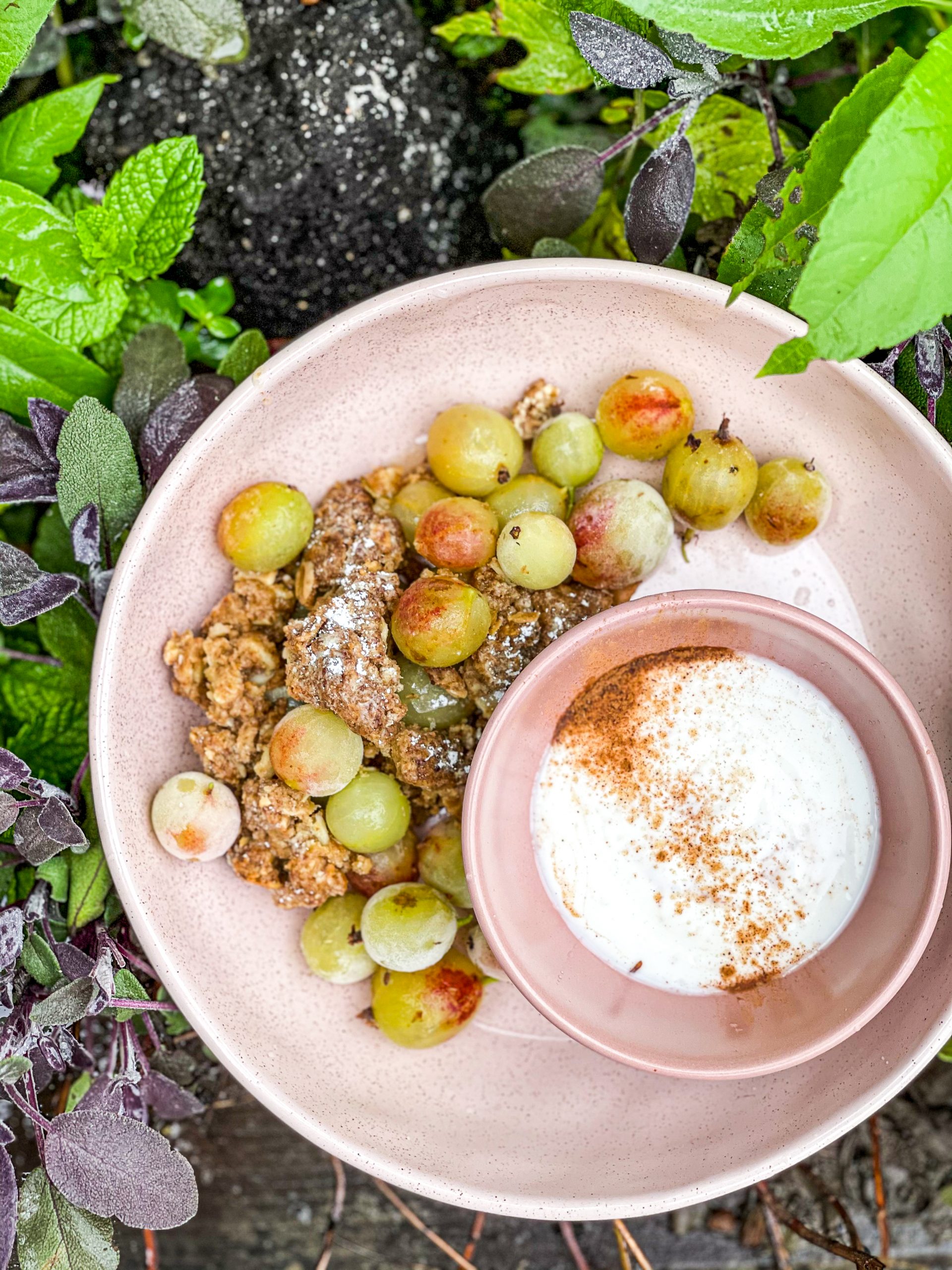 Rhubarb & Gooseberry Crumble
