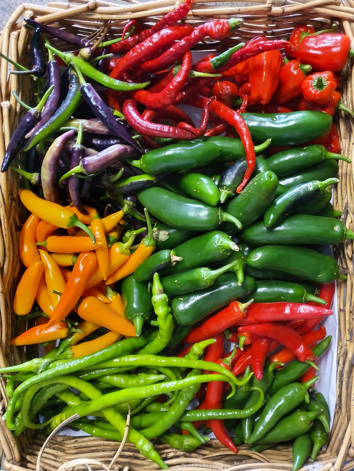 Cygnet Garden Larder