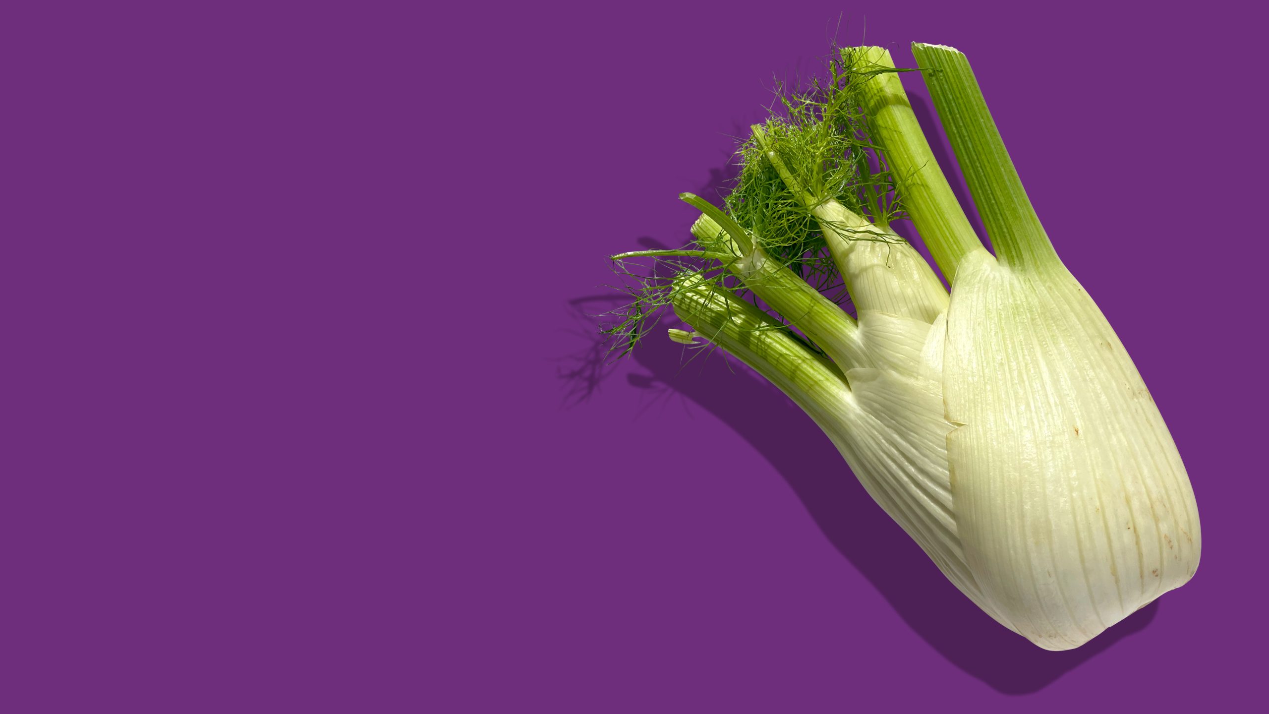 Winter Vegie Spotlight: Fennel