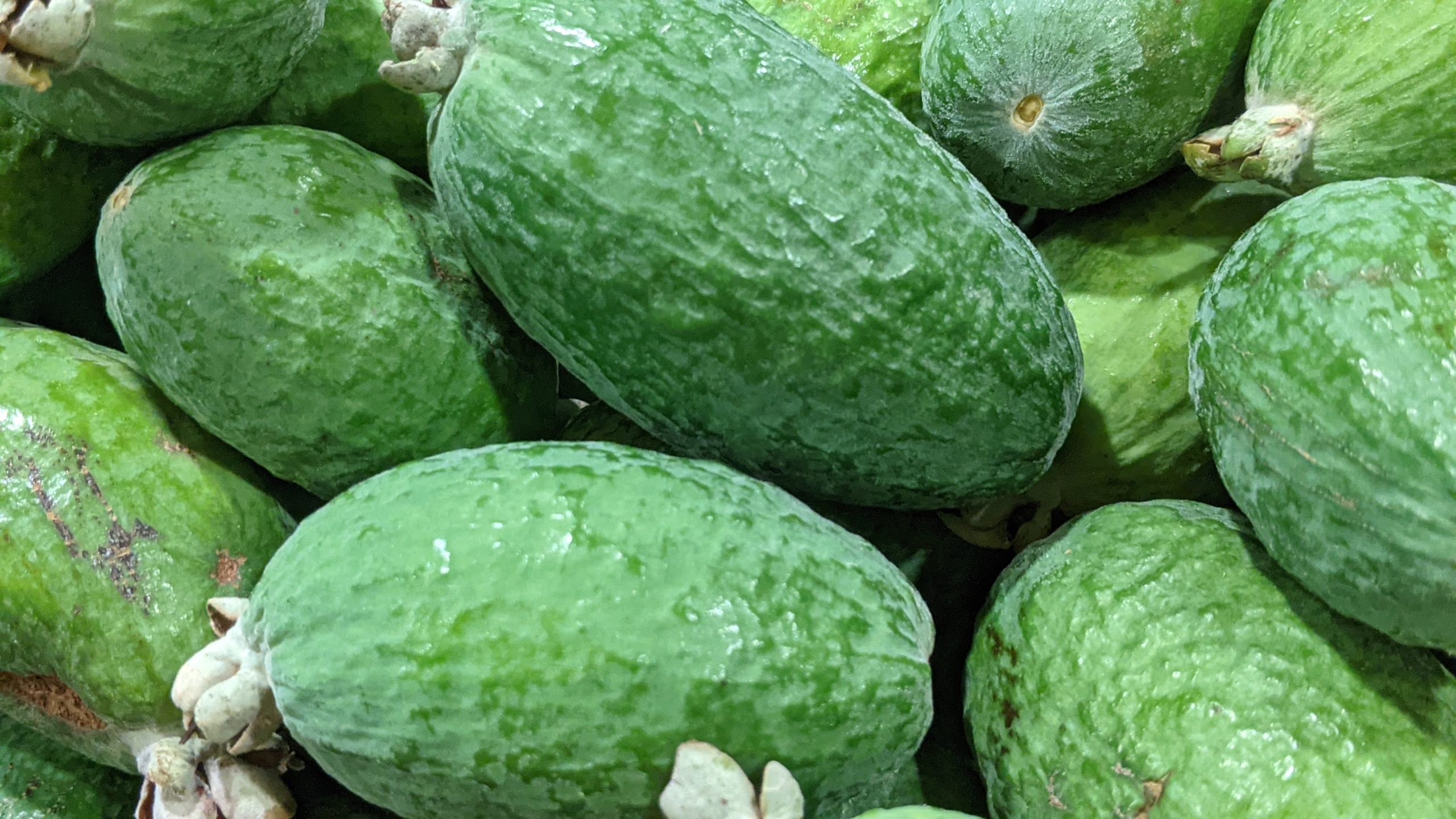 Feijoa Salsa